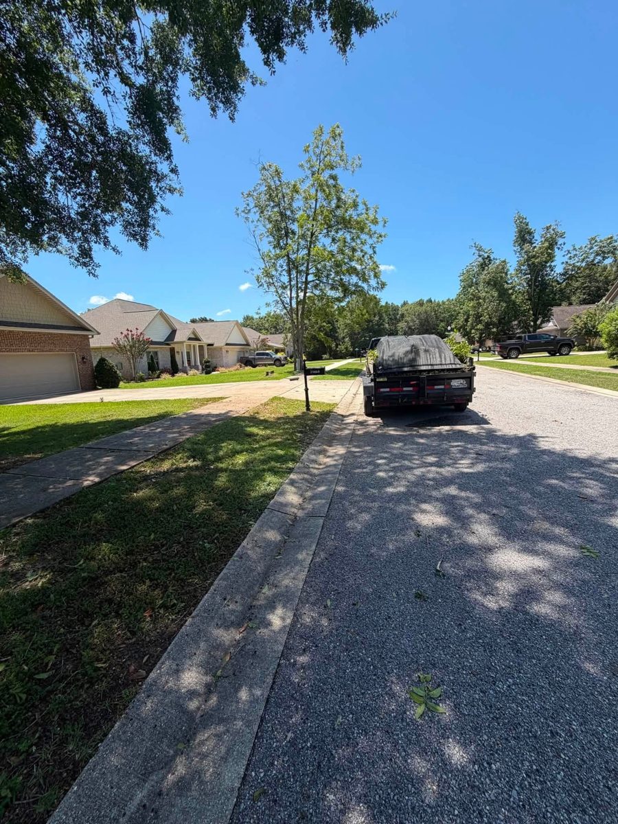 Downed tree limbs and yard debris after haul-away in Fairhope, AL
