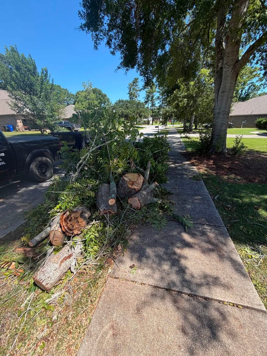 Downed tree limbs and yard debris before haul-away in Fairhope, AL