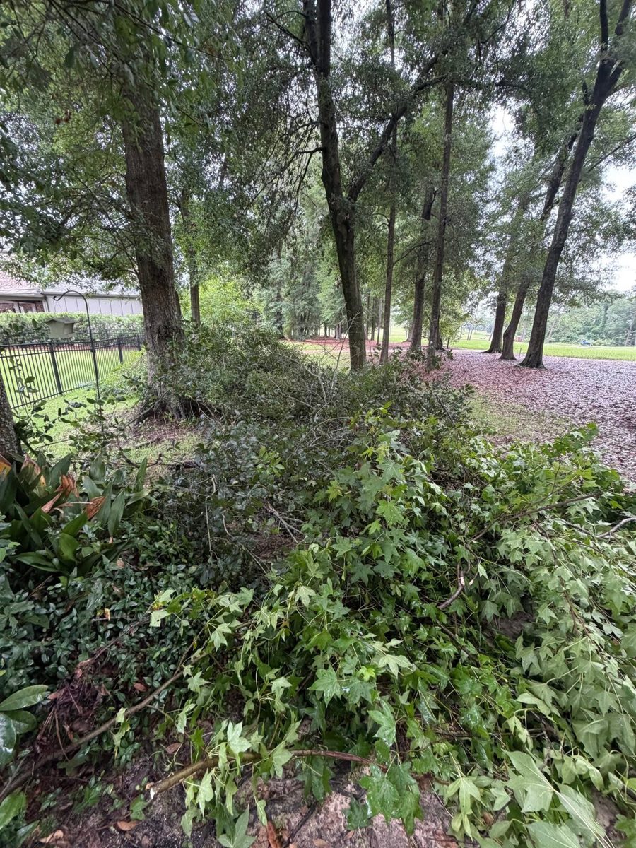 Cut branches and tree debris before haul-away in Mobile, AL